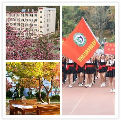林职2.jpg