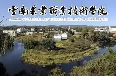 微信图片_20190724180313.jpg